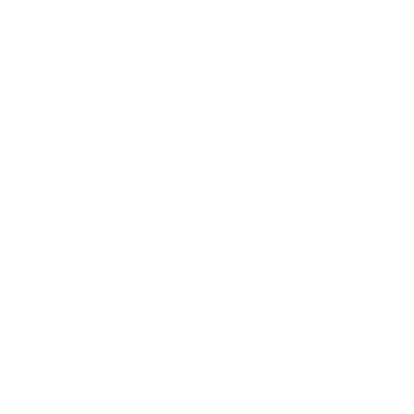 Ibis Ibis