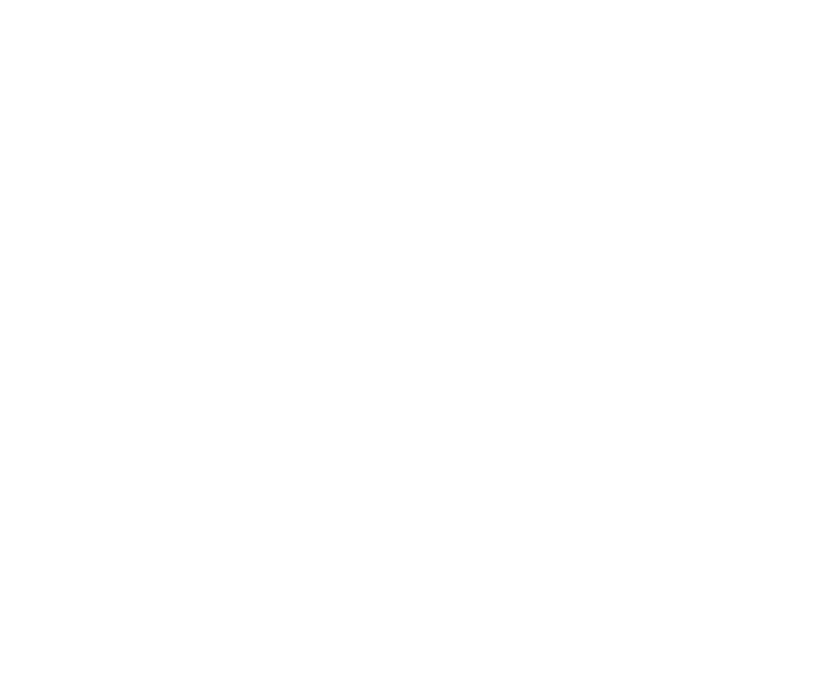 Paloma Paloma