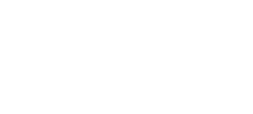 VSO VSO